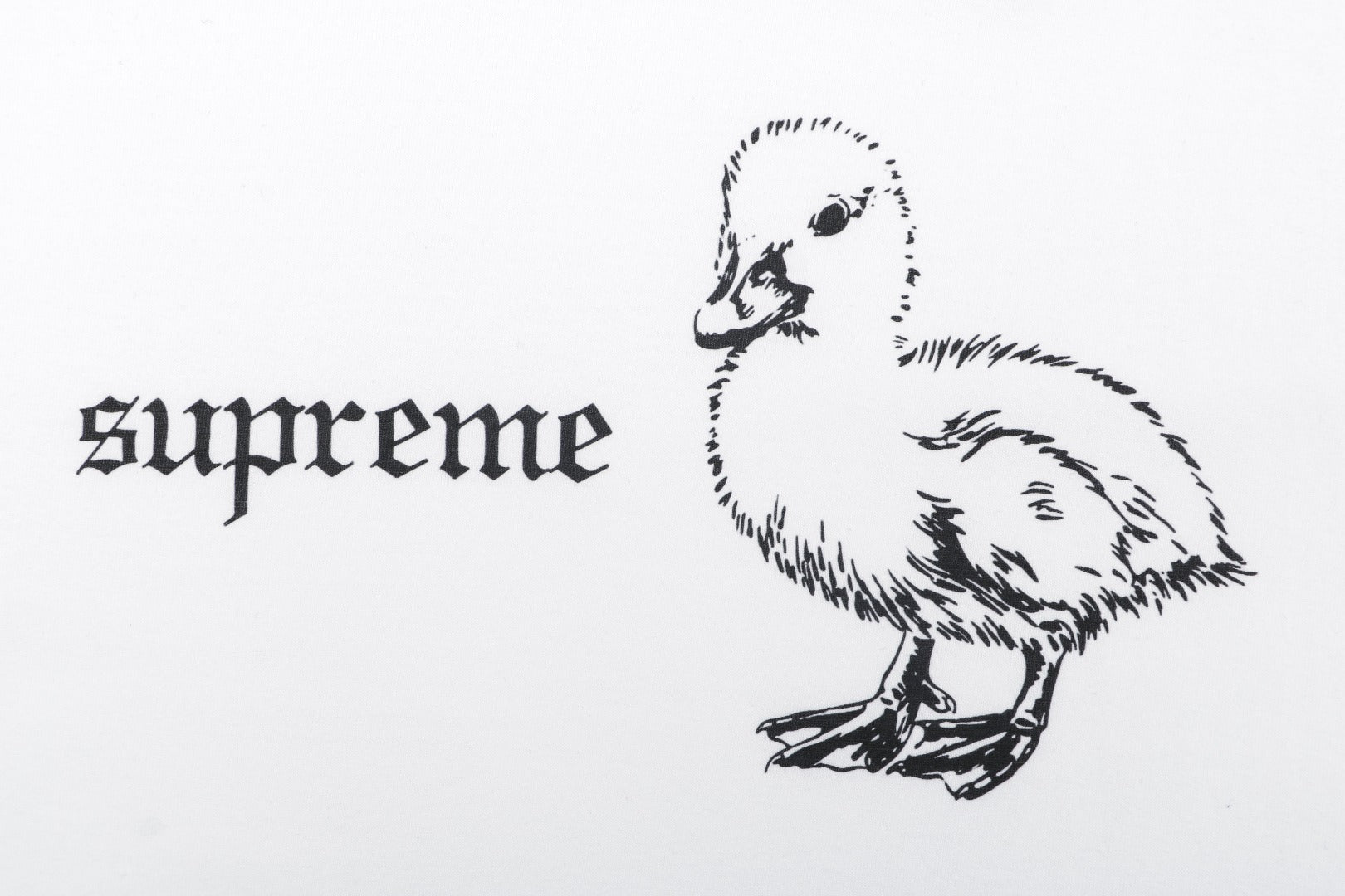 Supreme Duckling Graphic Short Sleeve Tee — White